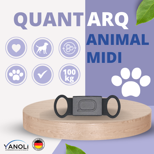 QUANT ARQ Animal Midi